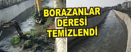 BORAZANLAR DERES TEMZLEND