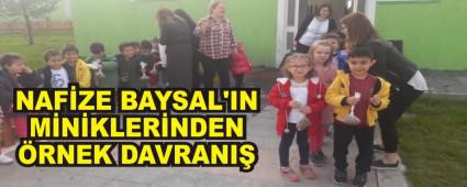 NAFZE BAYSAL'IN MNKLERNDEN RNEK DAVRANI