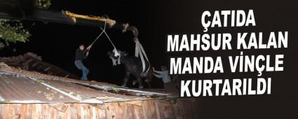 ATIDA MAHSUR KALAN MANDA VNLE KURTARILDI