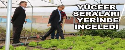 YCEER SERALARI YERNDE NCELED