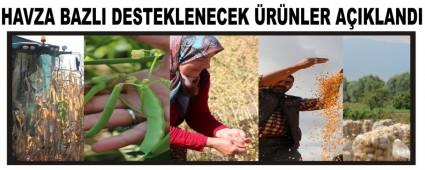 HAVZA BAZLI DESTEKLENECEK RNLER AIKLANDI