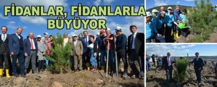 FDANLAR, FDANLARLA BYYOR
