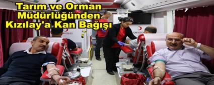 Tarm ve Orman Mdrlnden Kzlay'a Kan Ba