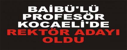 BAB'L PROFESR KOCAEL'DE REKTR ADAYI OLDU
