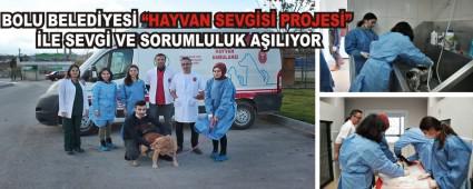 Bolu Belediyesi Hayvan Sevgisi Projesi  ile sevgi ve sorumluluk alyor