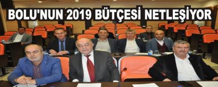 BOLU'NUN 2019 BTES NETLEYOR   