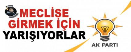 MECLSE GRMEK N YARIIYORLAR