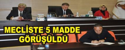 MECLSTE 5 MADDE GRLD