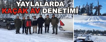 YAYLALARDA KAAK AV DENETM