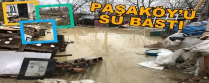 PAAKY\' SU BASTI