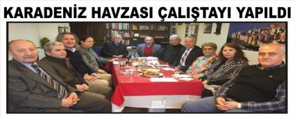 KARADENZ HAVZASI ALITAYI YAPILDI 