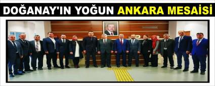 DOANAY'IN YOUN ANKARA MESAS