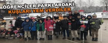 RENCLER PARKLARDAK KULARI YEM VERDLER