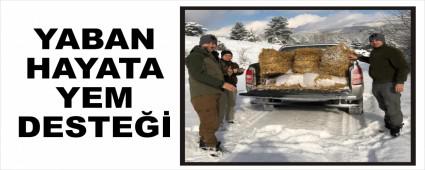 YABAN HAYATA YEM DESTE