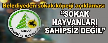 Belediyeden sokak kpei aklamas