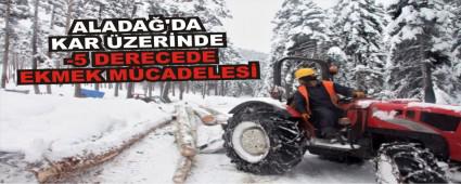 ALADA'DA KAR ZERNDE -5 DERECEDE EKMEK MCADELES