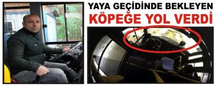 YAYA GEDNDE BEKLEYEN KPEE YOL VERD