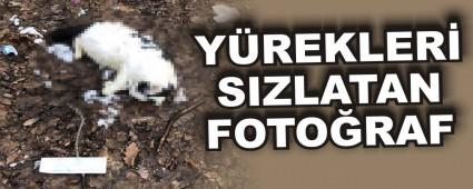 YREKLER SIZLATAN FOTORAF