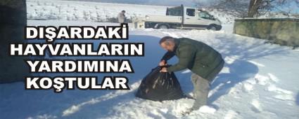 DIARDAK HAYVANLARIN YARDIMINA KOTULAR