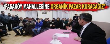 ORGANK PAZAR KURACAIZ