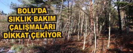 BOLU'DA SIKLIK BAKIM ALIMALARI DKKAT EKYOR