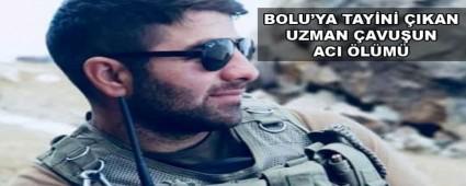 BOLU\'YA TAYN IKAN UZMAN AVUUN ACI LM