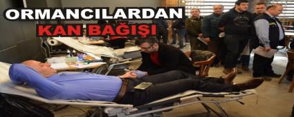 ORMANCILARDAN KAN BAII