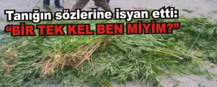 Tann szlerine isyan etti