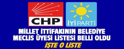 TE MLLET TTFAKI MECLS ADAYLARI   