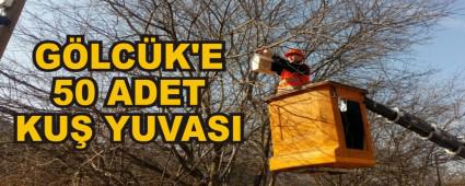 GLCK'E 50 ADET KU YUVASI