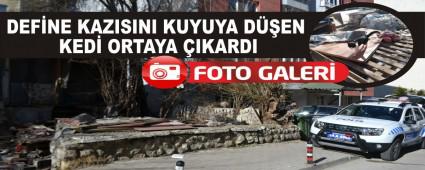 DEFNE KAZISINI KUYUYA DEN KED ORTAYA IKARDI