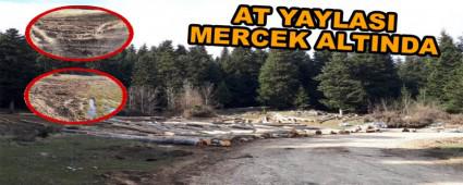 AT YAYLASI MERCEK ALTINDA