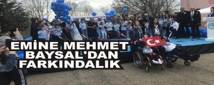 EMNE MEHMET BAYSAL\'DAN FARKINDALIK