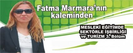 MESLEK ETMDE SEKTRLE BRL ve TURZM 3. Blm