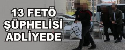 13 FET PHELS ADLYEDE