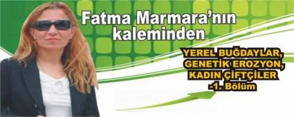 YEREL BUDAYLAR, GENETK EROZYON, KADIN FTLER-1. Blm