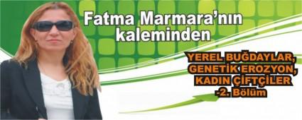 YEREL BUDAYLAR, GENETK EROZYON, KADIN FTLER-2. Blm