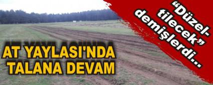 AT YAYLASI\'NDA TALANA DEVAM