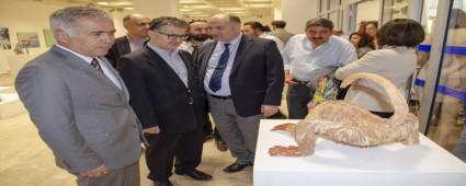 RENCLERDEN MEZUNYET SERGS