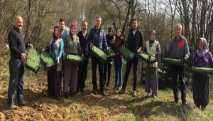 TIBB AROMATK BTK BAHESݔ OLUTURULDU