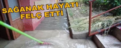 SAANAK HAYATI FEL ETT