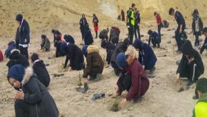 200 bin fidan toprakla bulutu