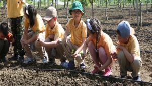 MNK ELLER TOPRAKLA BULUTU