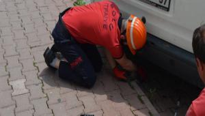 YAVRU KEDNN MDADINA TFAYE YETT