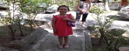 GZYALARI NDE TOPRAA VERLD