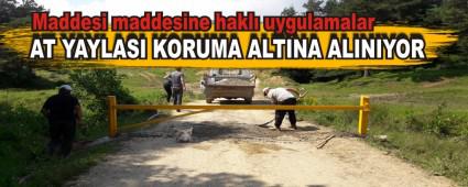 AT YAYLASI KORUMA ALTINA ALINIYOR