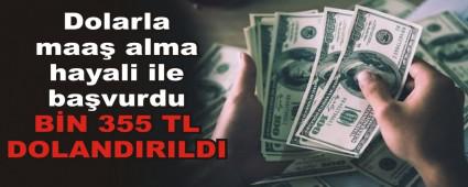 Dolarla maa alma hayali ile bavurdu