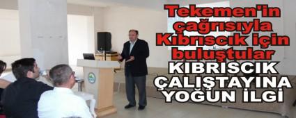 KIBRISCIK ALITAYINA YOUN LG