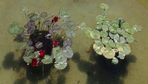 HERKES KENDNE YAKIANI DKER