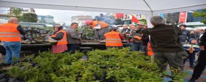 DEMOKRAS EHTLER N FDAN DAITILDI